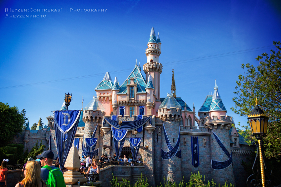 castle-decore-new-banners