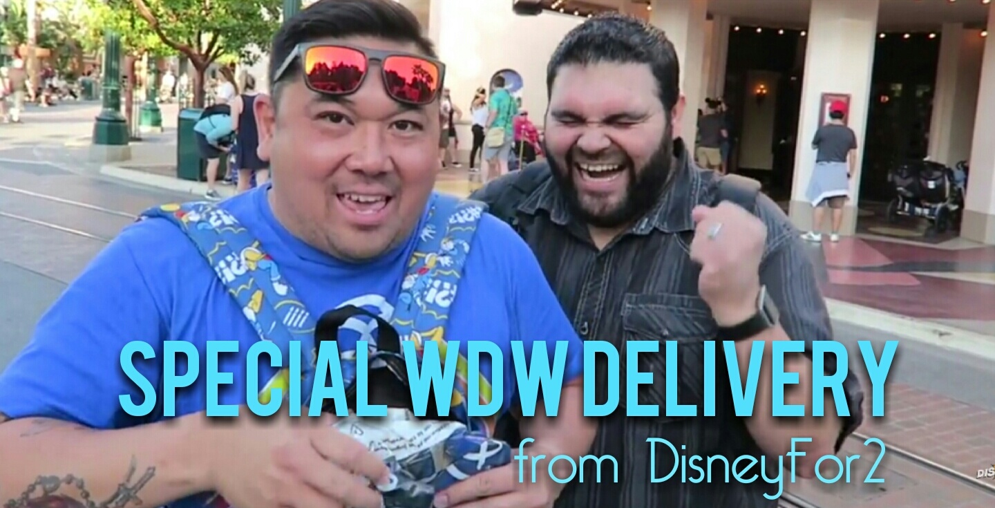 Special WDW Delivery from DisneyFor2!